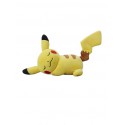 Sleeping Pikachu