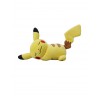 Sleeping Pikachu